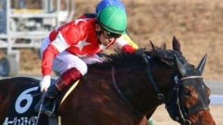 ディープ産駒5年ぶりVなるか ルージュスティリアが中京記念に参戦