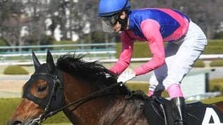 前走10番人気の低評価覆したメイショウシンタケ 中京記念でその勢いは無視できない