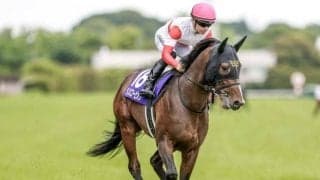 【中京記念予想】AIは評価の割れそうな実績馬をチョイス！ 近走データから好走確率を徹底分析