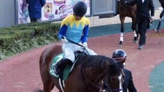 ルークズネストが競走馬登録抹消