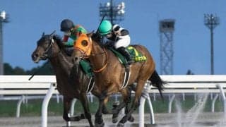 【ヤングジョッキーズTR門別】絶好調JRA佐々木大輔騎手が暫定首位