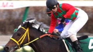 芝ダート障害の“三刀流”馬が死す 現役引退後は金沢大で乗馬も