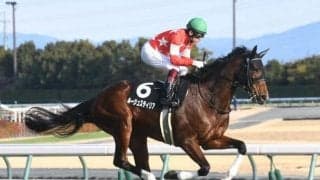  【中京記念枠順確定】ルージュスティリアは8枠16番、ディヴィーナは6枠11番