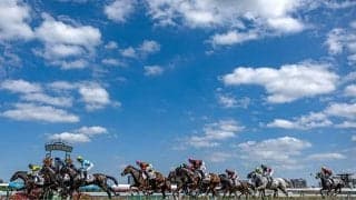 北海道シリーズは函館から札幌へ “似て非なる”両競馬場の傾向を徹底分析してみた