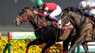 1年2カ月ぶり復帰のジャングロや19年覇者ライオンボスなど アイビスSD想定馬21頭＆騎手