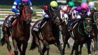 前走は直線で不利あり ホウオウサンデーが待望の2勝目を狙う