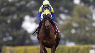 函館記念2着ルビーカサブランカやオークス3着ドゥーラなど クイーンS想定馬17頭＆騎手