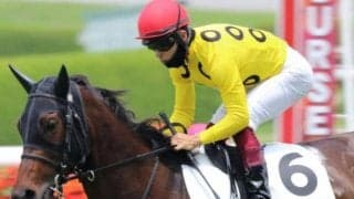 【土曜中京2R予想】母の父タピットの血が騒ぐ 初ダートで初勝利なるか