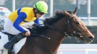 初ダートは血統的に不問 中京最終はエアメテオラの素質信頼