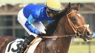 【土曜福島12R予想】太め残りの前走が負けて強し 再転入2戦目で決める