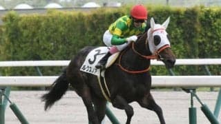 【中京5R新馬戦結果】ルクスノアが好位から抜け出し快勝！1番人気エヴァンスウィートは不利に泣く