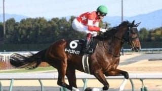 【中京記念予想】牡馬優勢のマイル重賞！ 牝馬好走の鍵は前走人気と上がり順位