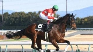 【中京記念前日オッズ】ルージュスティリアが4.3倍で1番人気