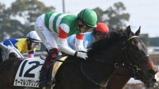 【日曜中京6R予想】初ダートのサーマルソアリング ガラリ一変があるぞ