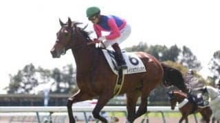 【AI予想・中京記念】週初から一転した本命！ 「◎」は重賞未出走も能力通用の伏兵