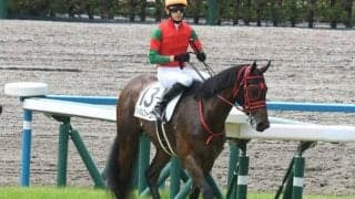 【日曜中京12R】前走が超好時計勝ちのマイネルフォーコン 昇級戦も難なく突破だ