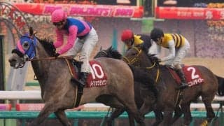 メイショウテンゲンが競走馬登録抹消