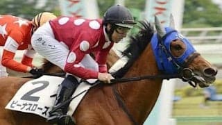 【日曜中京8R予想】芝短距離に転じて復調ムード 馬体重さえ戻れば高配当の使者に