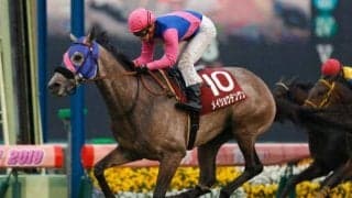 19年弥生賞覇者メイショウテンゲンが抹消 今後は中山競馬場で乗馬に