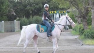 いとこにソダシなど シラユキヒメ一族のブランシール/関東馬メイクデビュー情報