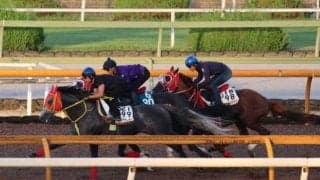 4億1000万円の超高額馬 ヴェロックスの半弟ホウオウプロサンゲ/関西馬メイクデビュー情報