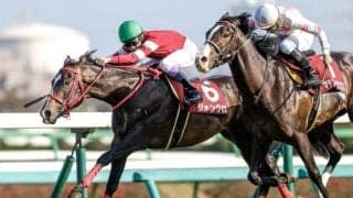 【AI予想・アイビスSD】特殊な条件で行われる名物重賞！ 本命候補3頭は高いスピード能力を持つ快速馬