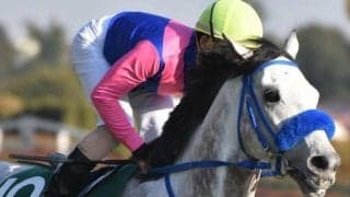 【先週のJRA抹消馬】弥生賞で親仔制覇果たしたメイショウテンゲン、ダートで活躍したソリストサンダーなど