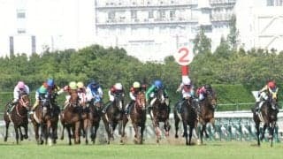 中京記念2着のディヴィーナ 好走の裏には血統背景が