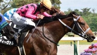 今村聖奈騎手がアイビスSDに参戦 韋駄天S制した快速馬と重賞2勝目へ