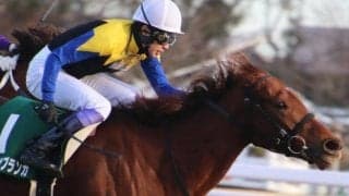 C.ルメール騎手がクイーンS3勝目を狙う 22年愛知杯覇者とコンビ