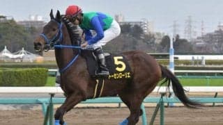 【クイーンS展望】開幕序盤のスピード勝負、トーセンローリエの巻き返しに期待