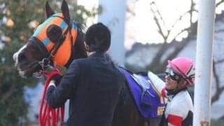 出身馬にはGIホースたちがズラリ きょうセレクションセール開幕