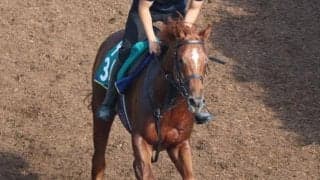 アンティフォナの2021(グロリアラウス)など、先週の入厩情報/栗東トレセンニュース