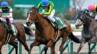 今最も勢いのある若手騎手が初タイトルへ クイーンSで5戦連続掲示板確保のサトノセシルとタッグ