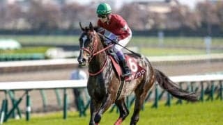 【アイビスSD予想オッズ】ジャングロが予想1番人気