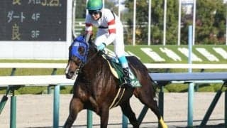 【新潟ジャンプS予想オッズ】ホッコーメヴィウスが予想1番人気