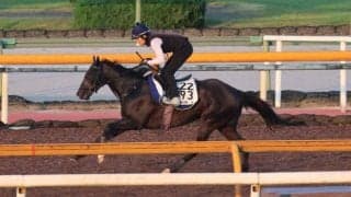 ララクリスティーヌ、関屋記念2週前追い切り速報/栗東トレセンニュース