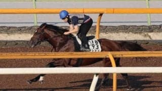 ベレヌス、エルムS1週前追い切り速報/栗東トレセンニュース