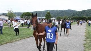 ソフトバンクの柳田悠岐選手がセレクションで2日連続落札 キズナなど名馬輩出の名牝系