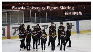 フィギュア部門新体制特集