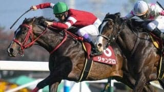 藤田晋オーナー所有のジャングロ アイビスSDで約1年3カ月ぶりに復帰へ