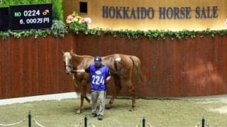 2日間で62億1137万円 過去最高の売上を記録したセレクションセール