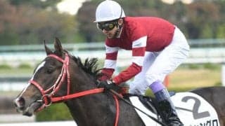 【アイビスSD出走馬・騎手確定】ジャングロ＆戸崎圭太騎手、トキメキ＆松岡正海騎手など18頭