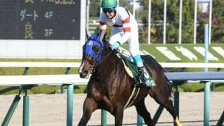 【新潟JS出走馬・騎手確定】ホッコーメヴィウス＆黒岩悠騎手、フォッサマグナ＆伴啓太騎手など11頭