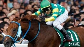 アイビスSDで3年連続連対経験アリ 古豪ライオンボスが史上初の記録に挑戦