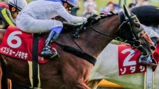 16年ぶりの“酷量V”なるか イズジョーノキセキが57kgでクイーンS参戦