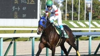 【新潟ジャンプS枠順確定】ホッコーメヴィウスは4枠4番、フォッサマグナは3枠3番