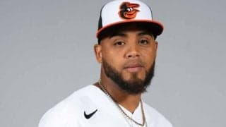 鷹がWBCベネズエラ代表左腕の獲得発表　メジャー通算91試合登板のリリーフを緊急補強