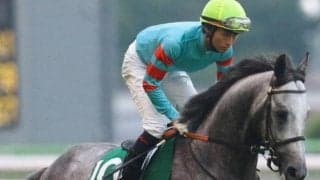 新潟外回りは決め手重視 ディープ産駒ヤマニンサンパの出番だ