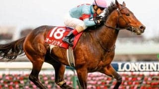 【エルムS想定馬・騎手】ダート初挑戦オーソリティ 重賞2勝ペイシャエスなど20頭